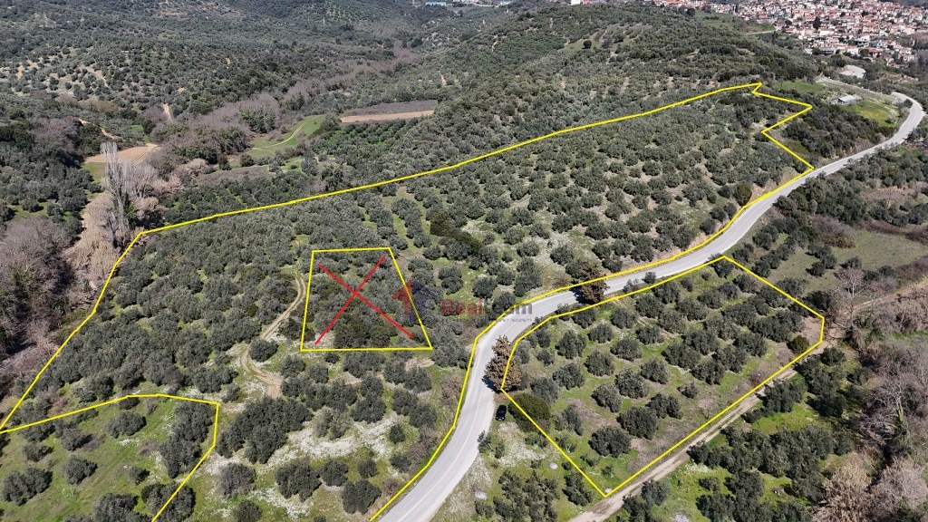 Αγροτεμάχια 48.000 τ.μ. πρός πώληση, Μαγνησία, Πτελεός