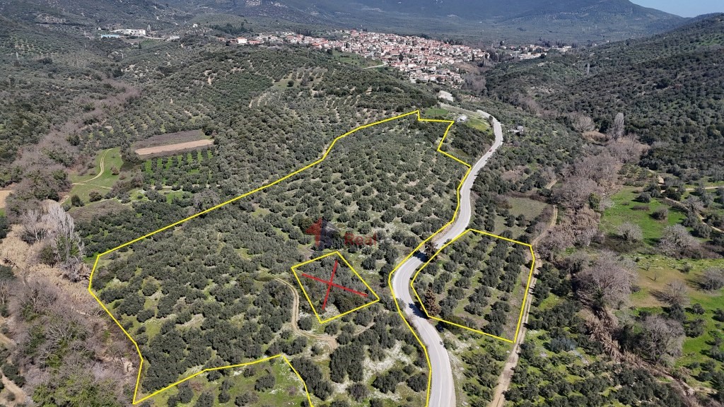 Αγροτεμάχια 48.000 τ.μ. πρός πώληση, Μαγνησία, Πτελεός