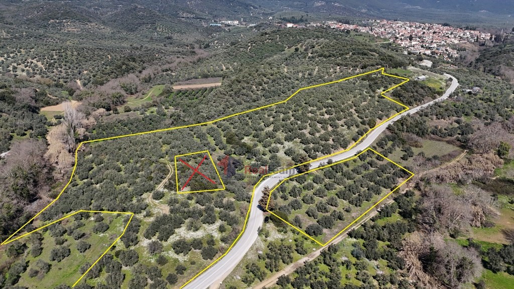 Αγροτεμάχια 48.000 τ.μ. πρός πώληση, Μαγνησία, Πτελεός