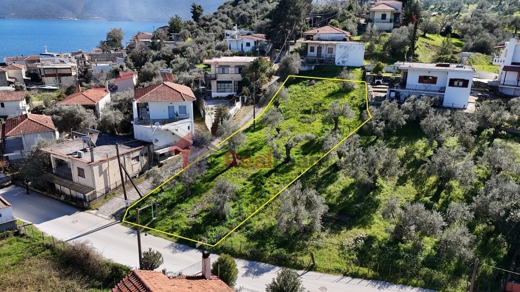 Οικόπεδο 615 τ.μ. πρός πώληση, Μαγνησία, Πτελεός