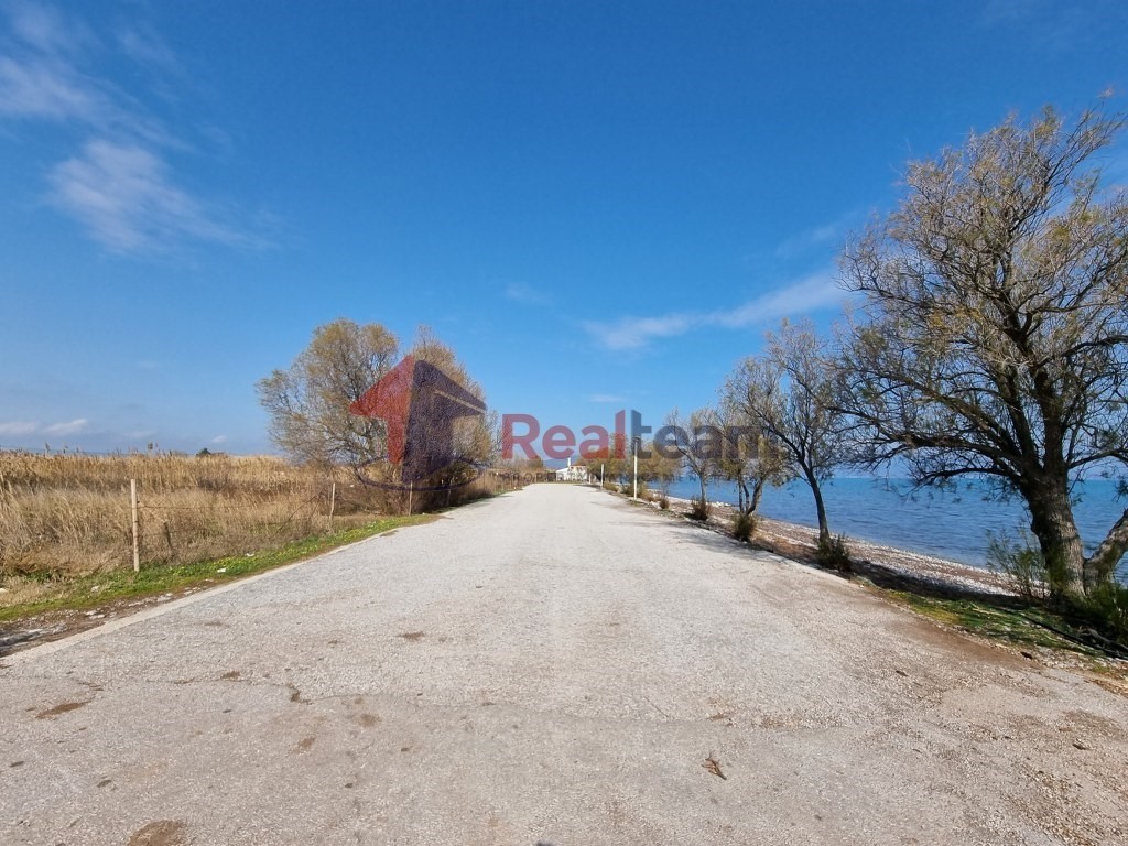 Αγροτεμάχια 10.469 τ.μ. πρός πώληση, Μαγνησία, Αλμυρός