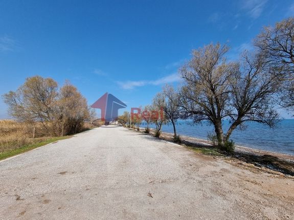 Αγροτεμάχια 20.000 τ.μ. για πώληση, Μαγνησία, Αλμυρός