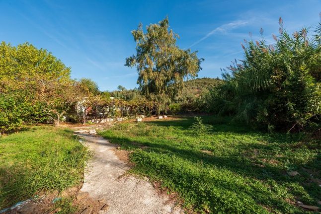 Detached home 70 sqm for sale, Magnesia, Pteleos