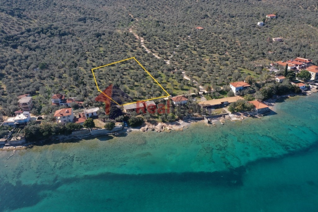 Οικόπεδο 2.000 τ.μ. πρός πώληση, Μαγνησία, Σούρπη
