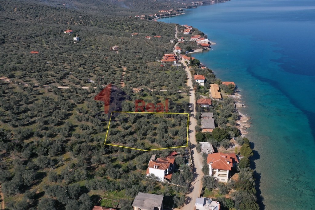 Οικόπεδο 2.000 τ.μ. πρός πώληση, Μαγνησία, Σούρπη