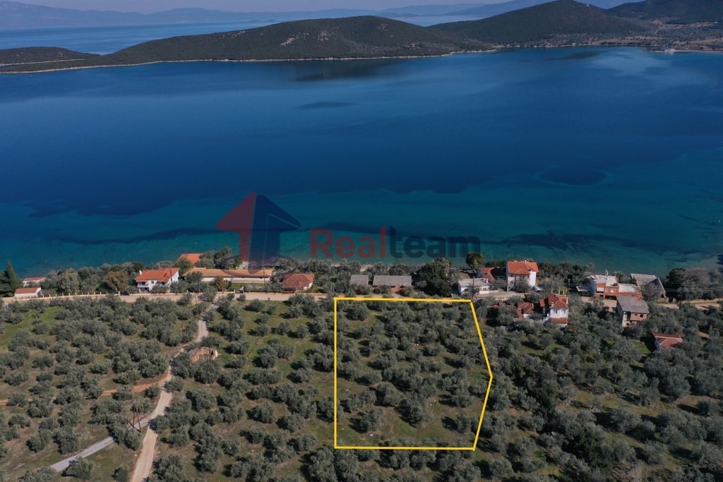 Οικόπεδο 2.000 τ.μ. πρός πώληση, Μαγνησία, Σούρπη