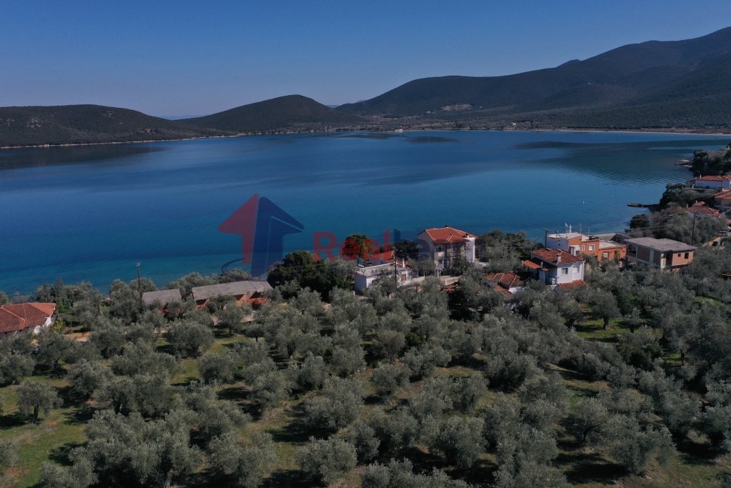 Οικόπεδο 2.000 τ.μ. πρός πώληση, Μαγνησία, Σούρπη