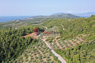Μονοκατοικία 40 τ.μ. για πώληση