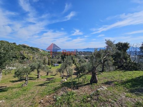 Αγροτεμάχια 4.600τ.μ. για πώληση-Σκιάθος