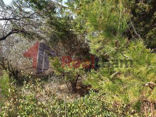 Οικόπεδο 150 τ.μ. για πώληση, Μαγνησία, Αλμυρός-thumb-14