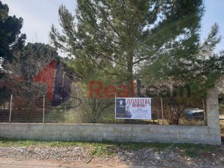 Οικόπεδο 150 τ.μ. για πώληση, Μαγνησία, Αλμυρός-thumb-12