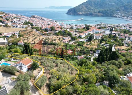 Οικόπεδο 2.665τ.μ. για πώληση-Σκόπελος