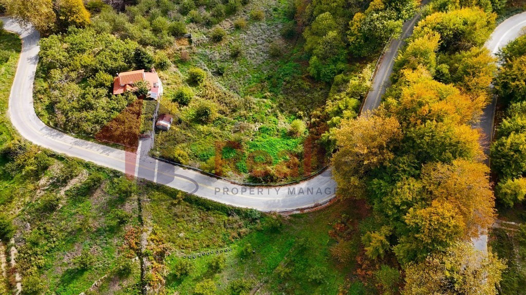 Αγροτεμάχια 3.390 τ.μ. πρός πώληση, Μαγνησία, Αγριά