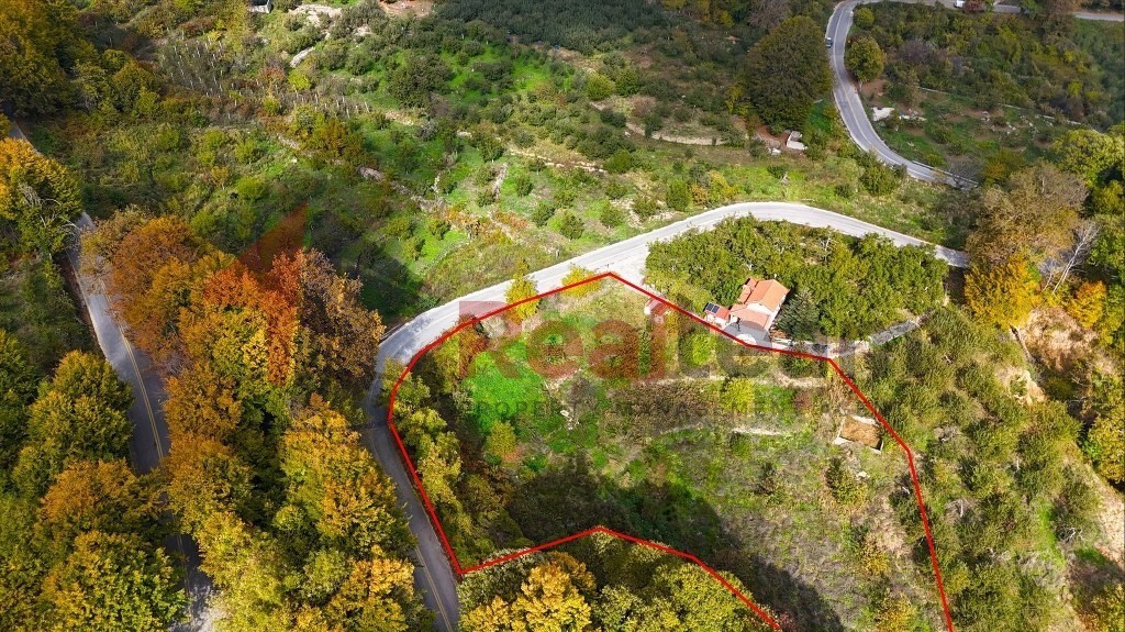 Αγροτεμάχια 3.390 τ.μ. πρός πώληση, Μαγνησία, Αγριά