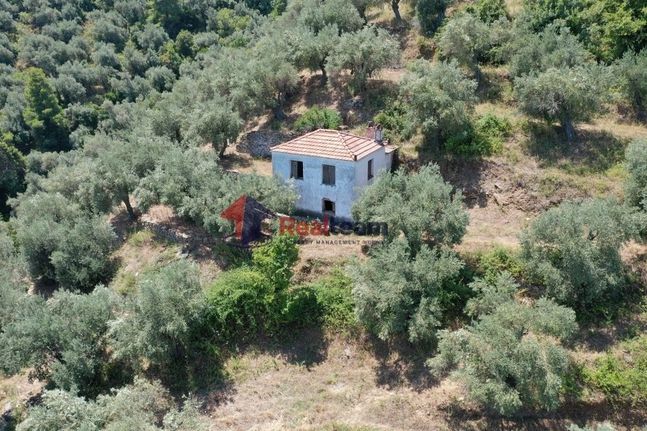 Detached home 54 sqm for sale, Sporades, Skopelos