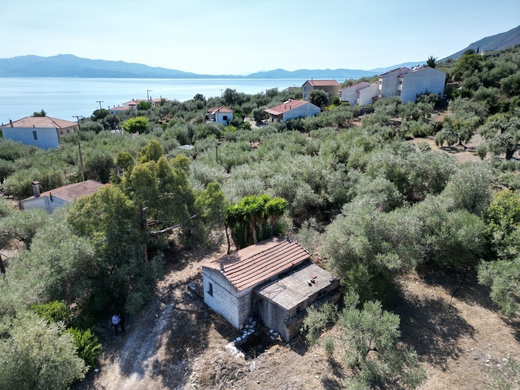 Μονοκατοικία 55 τ.μ. προς πώληση, Μαγνησία, Πτελεός