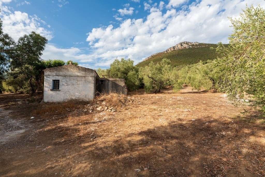 Μονοκατοικία 55 τ.μ. προς πώληση, Μαγνησία, Πτελεός