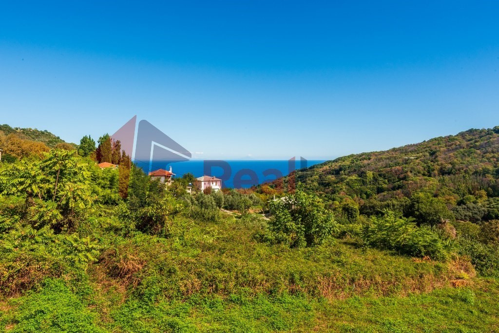Μονοκατοικία 104 τ.μ. πρός πώληση, Μαγνησία, Ζαγορά