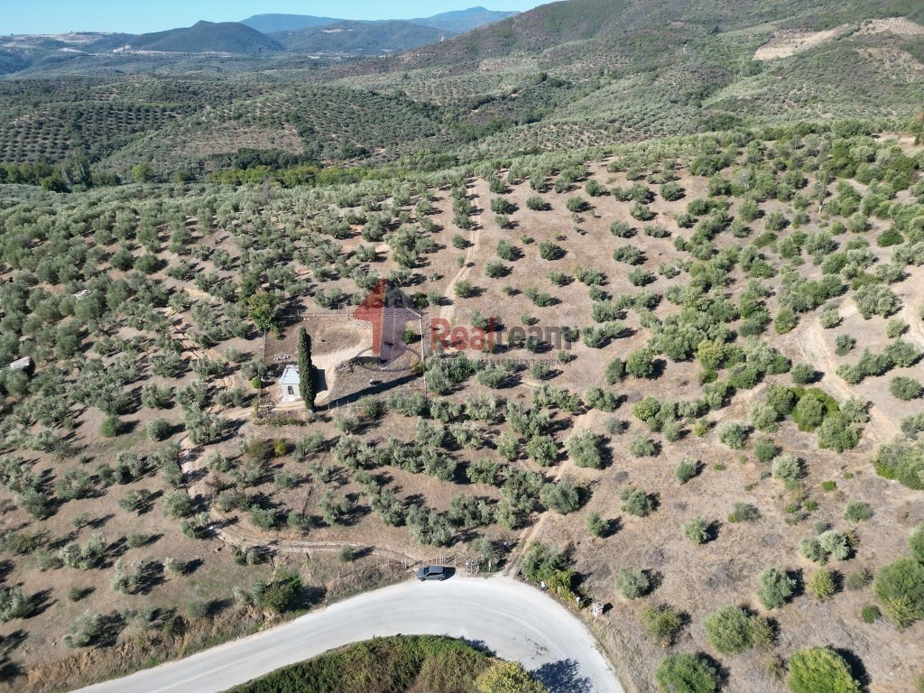Αγροτεμάχια 9.607 τ.μ. πρός πώληση, Μαγνησία, Πτελεός
