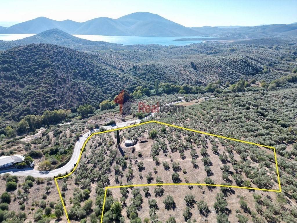 Αγροτεμάχια 9.607 τ.μ. πρός πώληση, Μαγνησία, Πτελεός
