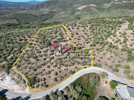 Parcel 9.607sqm for sale-Pteleos
