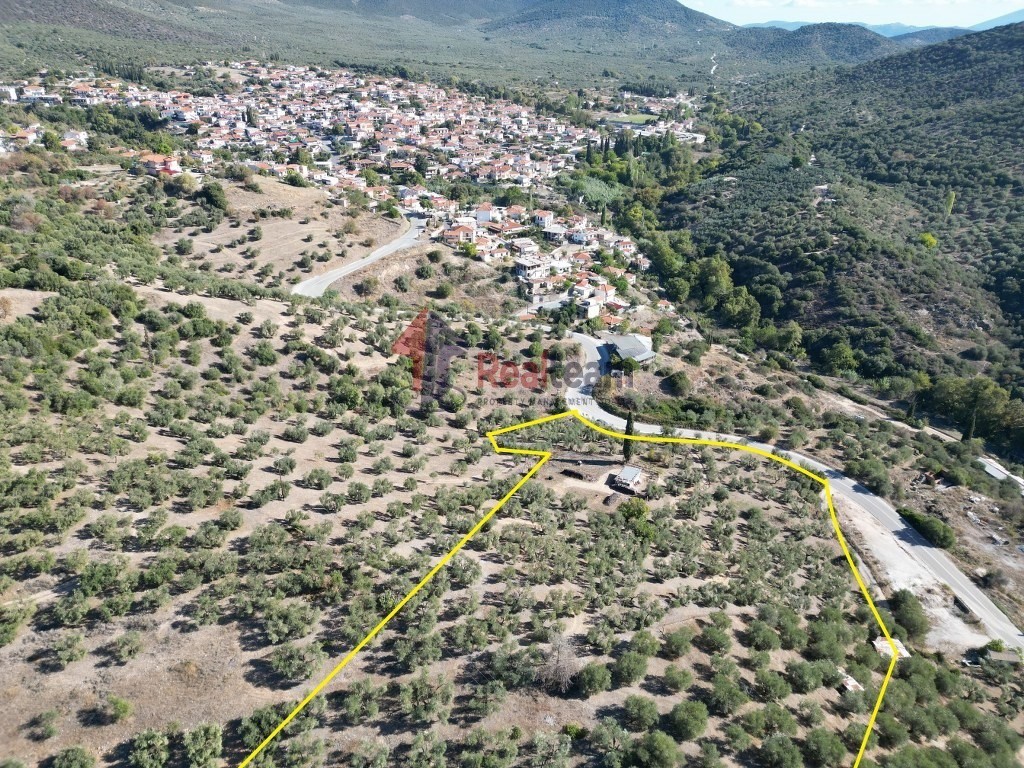 Αγροτεμάχια 9.607 τ.μ. πρός πώληση, Μαγνησία, Πτελεός