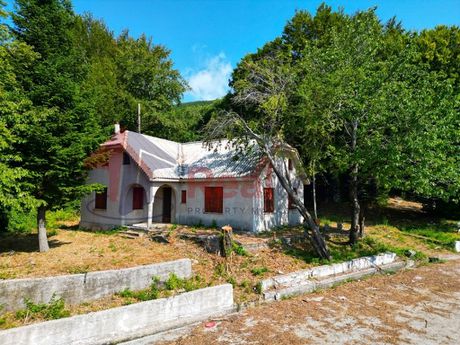 Detached home 130sqm for sale-Agria