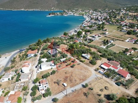 Land plot 200sqm for sale-Pteleos