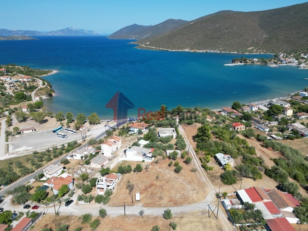 Οικόπεδο 200 τ.μ. προς πώληση, Μαγνησία, Πτελεός