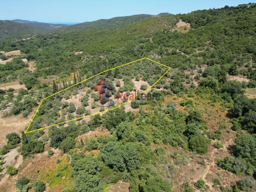 Αγροτεμάχια 8.090 τ.μ. πρός πώληση, Μαγνησία, Αργαλαστή