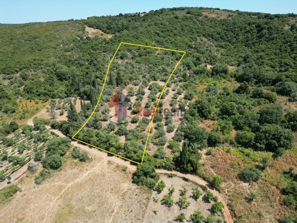 Αγροτεμάχια 8.090 τ.μ. πρός πώληση, Μαγνησία, Αργαλαστή