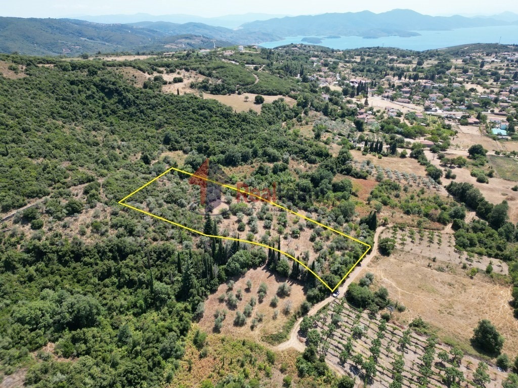 Αγροτεμάχια 8.090 τ.μ. πρός πώληση, Μαγνησία, Αργαλαστή