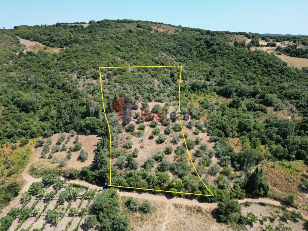 Αγροτεμάχια 8.090 τ.μ. πρός πώληση, Μαγνησία, Αργαλαστή