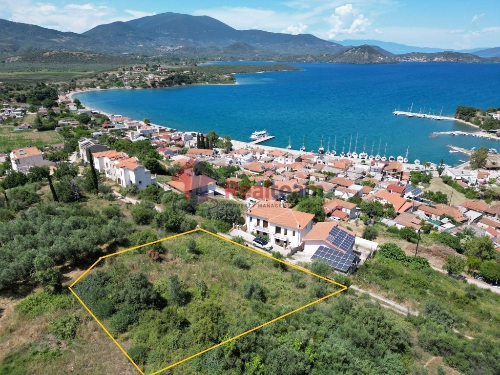 Οικόπεδο 933 τ.μ. προς πώληση, Μαγνησία, Πτελεός