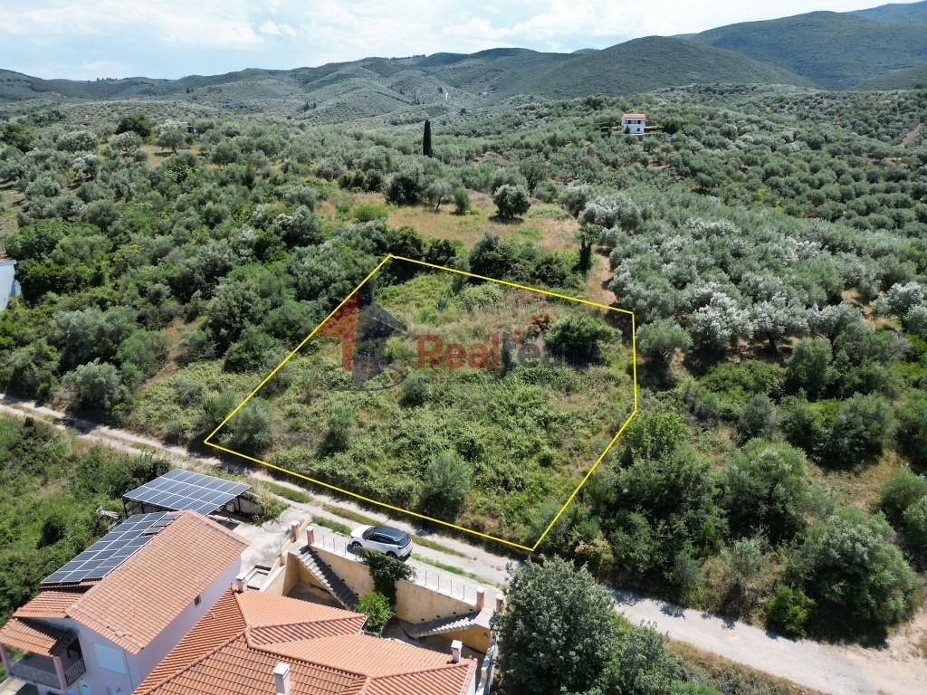 Οικόπεδο 933 τ.μ. προς πώληση, Μαγνησία, Πτελεός