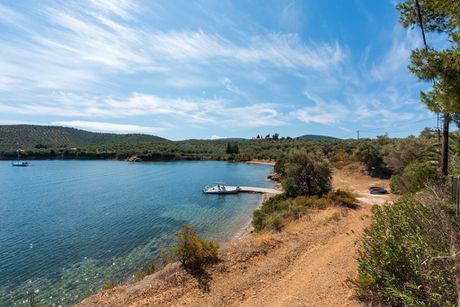Hotel 650sqm for sale-Trikeri