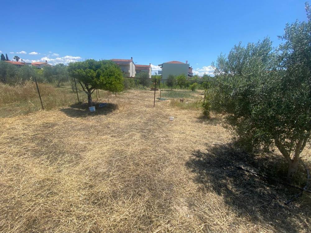 Οικόπεδο 1.002 τ.μ. πρός πώληση, Κορινθία, Σικυώνα