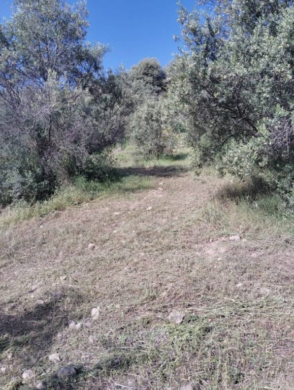 Αγροτεμάχια 6.247 τ.μ. πρός πώληση, Κορινθία, Ξυλόκαστρο