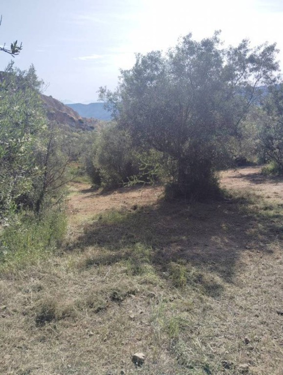 Αγροτεμάχια 6.247 τ.μ. πρός πώληση, Κορινθία, Ξυλόκαστρο