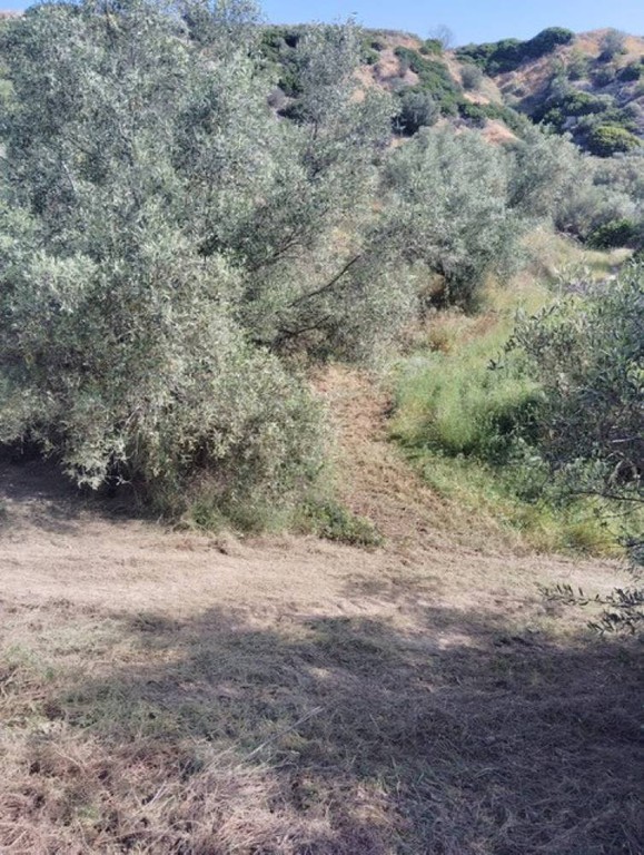 Αγροτεμάχια 6.247 τ.μ. πρός πώληση, Κορινθία, Ξυλόκαστρο
