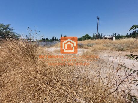 Αγροτεμάχια 1.500τ.μ. για ενοικίαση-Πυλαία » Mediterranean Cosmos