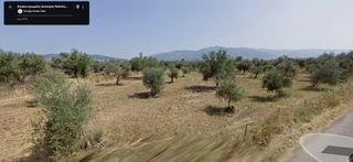 Αγροτεμάχια 4.000 τ.μ. για πώληση