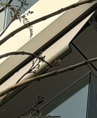 Μεζονέτα 106 τ.μ. για ενοικίαση