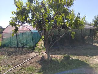 Γη 1.200 τ.μ. πρός πώληση, Ν. Ροδόπης, Κομοτηνή-thumb-7
