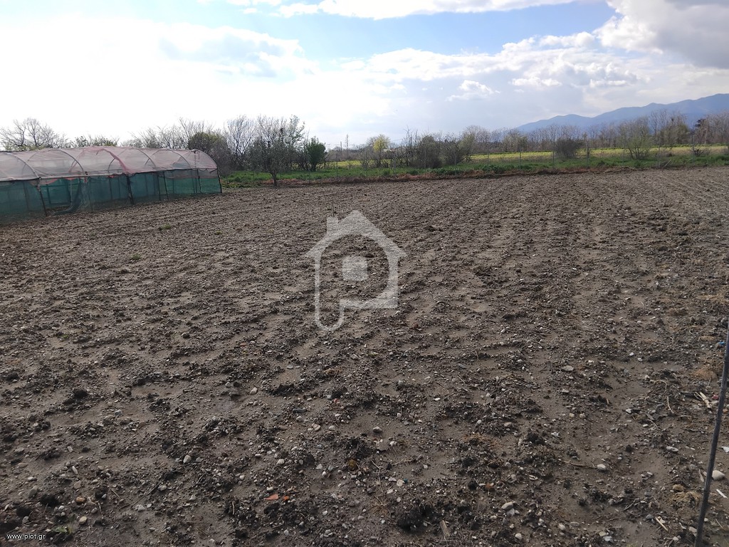 Γη 1.200 τ.μ. πρός πώληση, Ν. Ροδόπης, Κομοτηνή