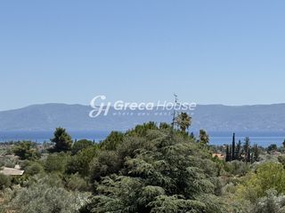 Βίλλα 245 τ.μ. για πώληση, Εύβοια, Ερέτρια-thumb-16