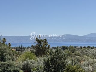 Βίλλα 245 τ.μ. για πώληση, Εύβοια, Ερέτρια-thumb-1