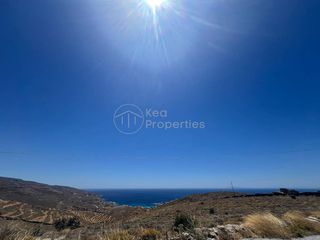 Αγροτεμάχια 4.000 τ.μ. για πώληση