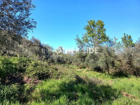Αγροτεμάχια 18.000τ.μ. για πώληση-Φαρίδα » Ξηροκάμπι