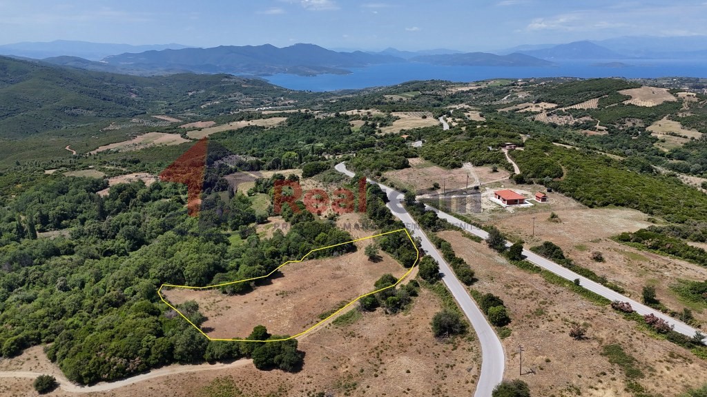 Αγροτεμάχια 5.933 τ.μ. πρός πώληση, Μαγνησία, Αργαλαστή